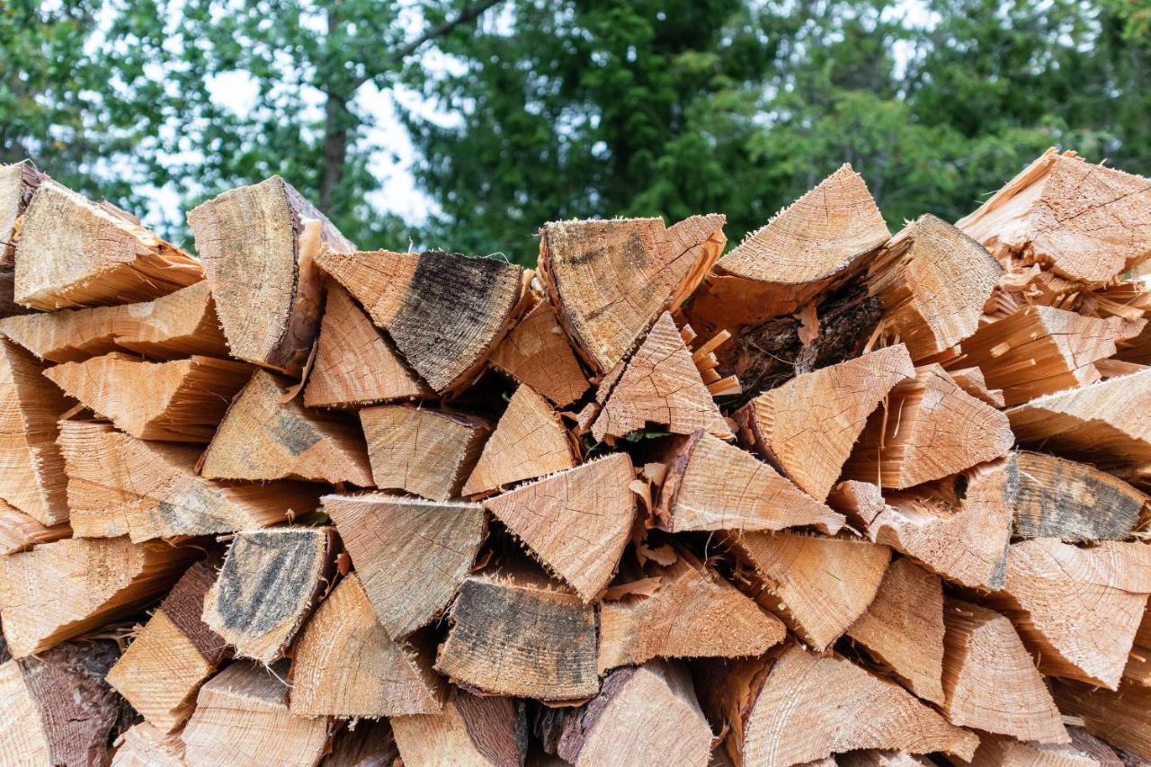 Finger Lakes Treehouse Sodus Luaran gambar